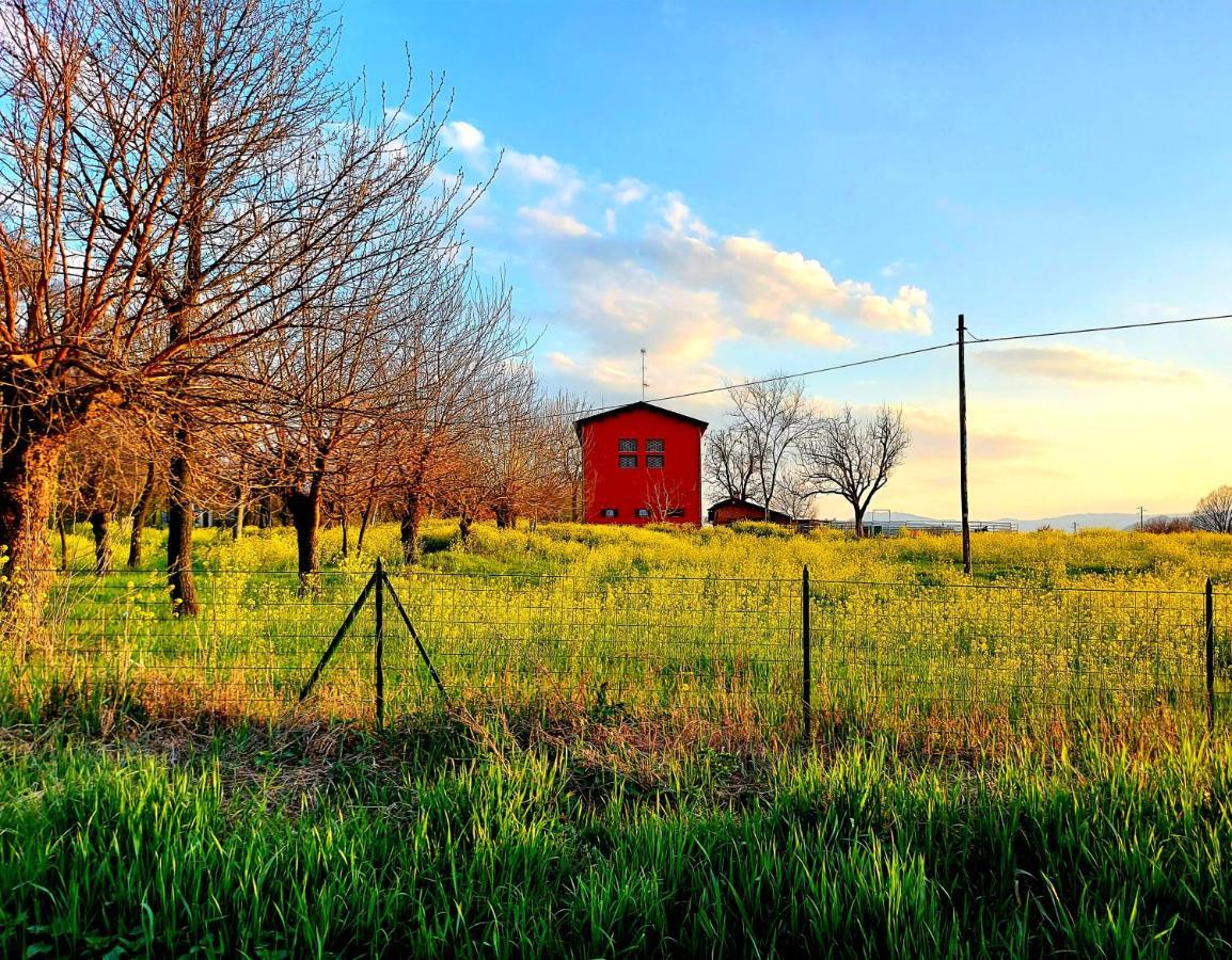 Agriturismo Azienda Agricola Ferrari M.Rita Pozza Экстерьер фото