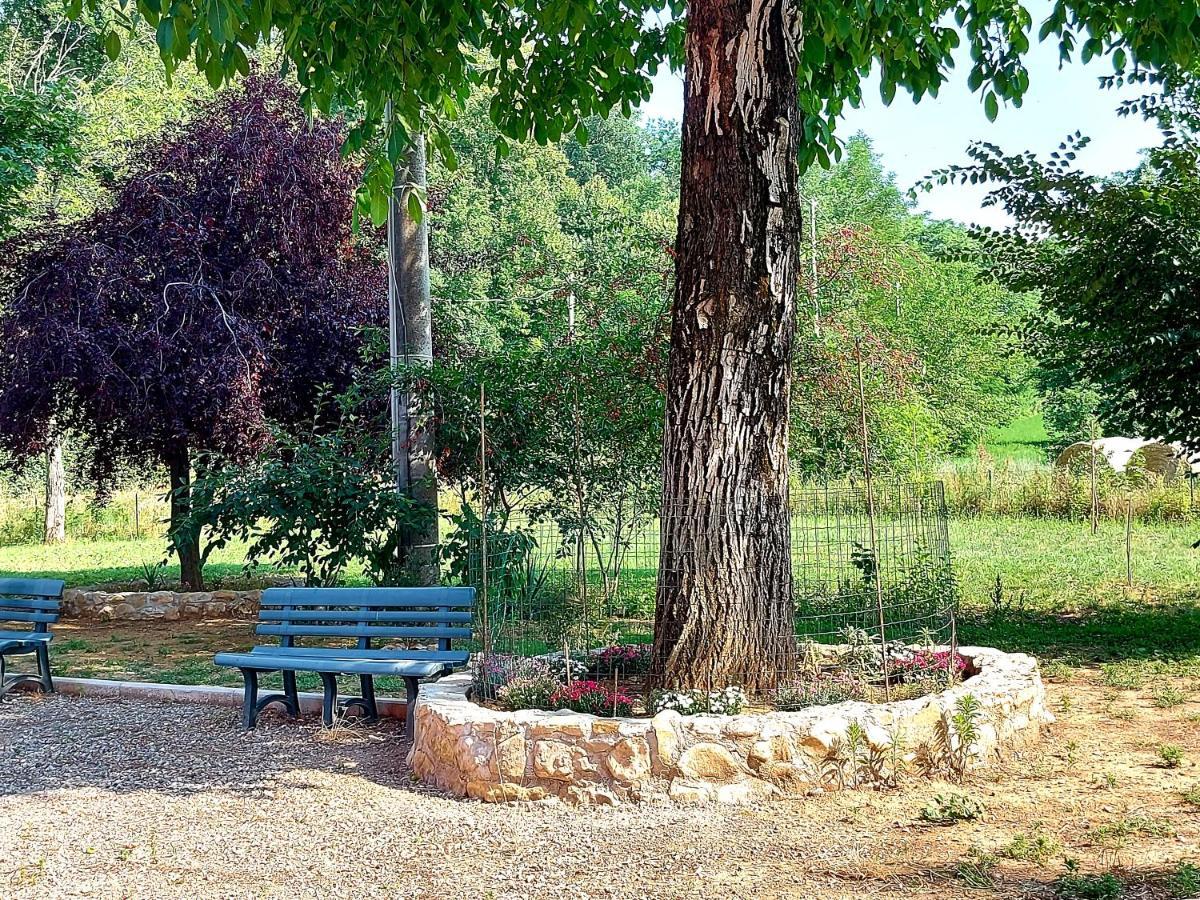 Agriturismo Azienda Agricola Ferrari M.Rita Pozza Экстерьер фото