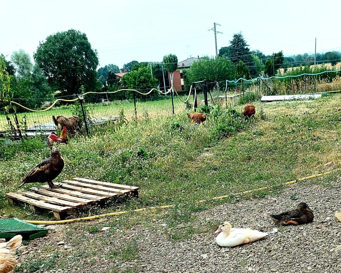 Agriturismo Azienda Agricola Ferrari M.Rita Pozza Экстерьер фото
